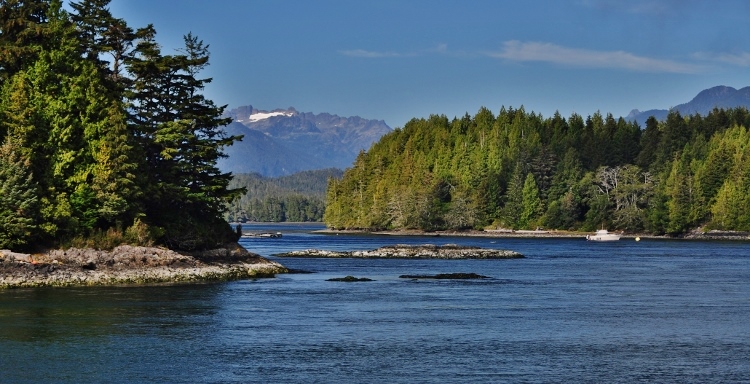 looking out over Tofino Inlet